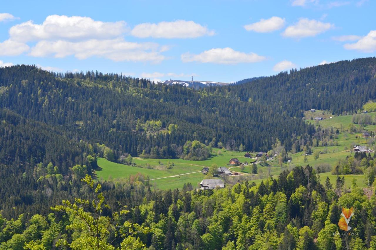 Blackfoxrest Ferienwohnung Feldberg  Esterno foto