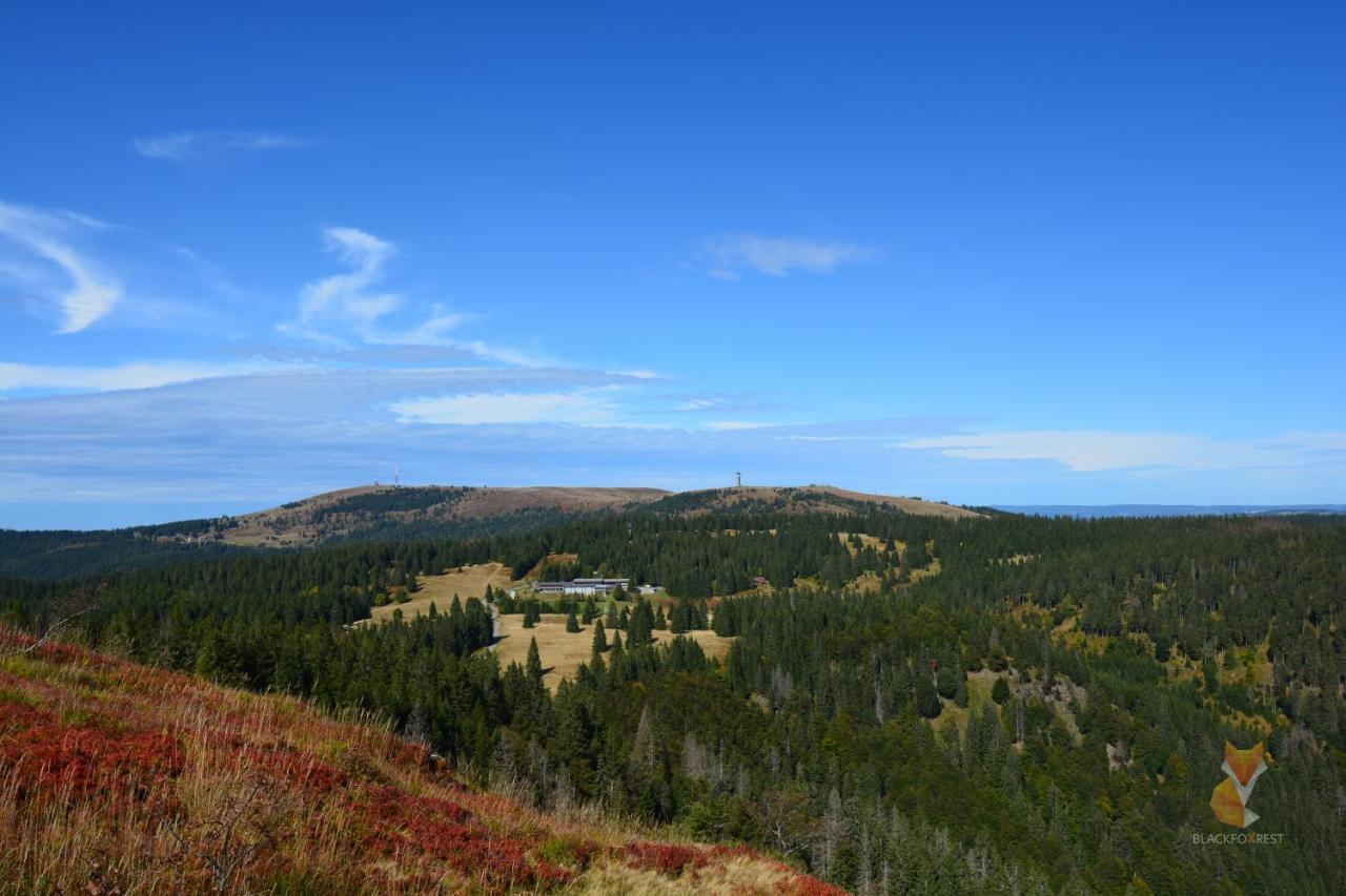 Blackfoxrest Ferienwohnung Feldberg  Esterno foto