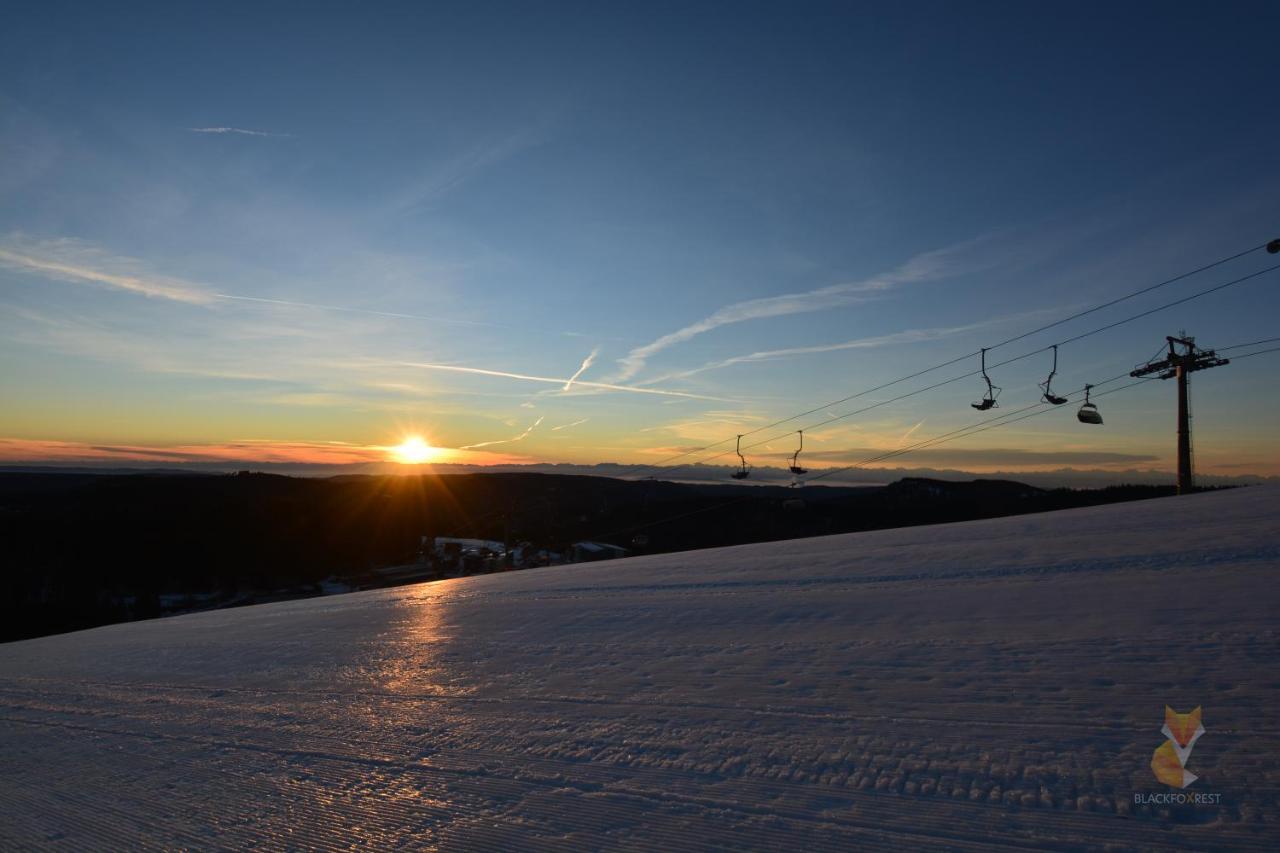Blackfoxrest Ferienwohnung Feldberg  Esterno foto