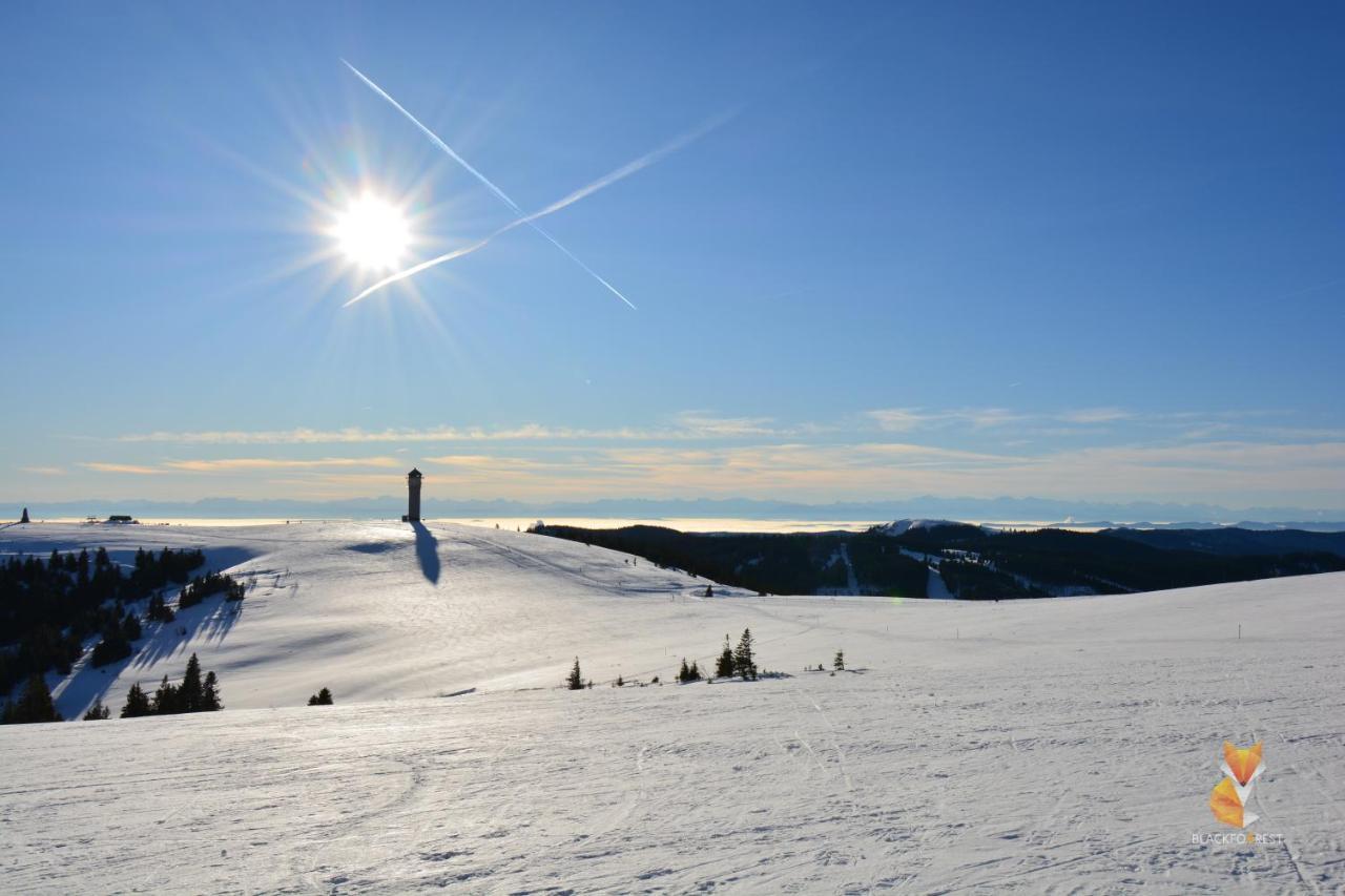 Blackfoxrest Ferienwohnung Feldberg  Esterno foto