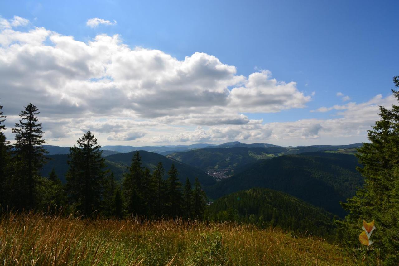 Blackfoxrest Ferienwohnung Feldberg  Esterno foto