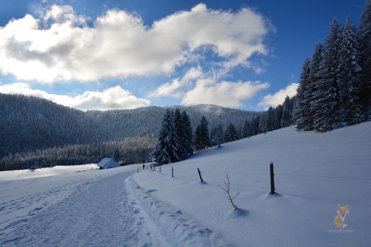 Blackfoxrest Ferienwohnung Feldberg  Esterno foto