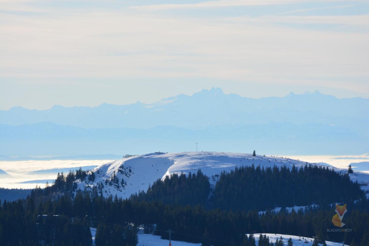 Blackfoxrest Ferienwohnung Feldberg  Esterno foto